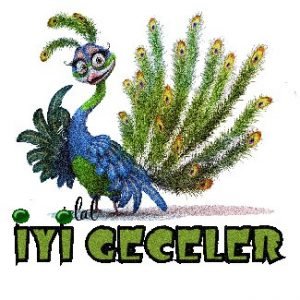 iyi-geceler-mesajlari-sevgiliye