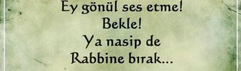 Mevlana Sözleri