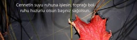 Taziye Sözleri