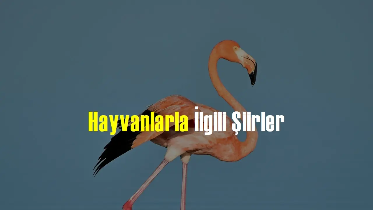 Hayvanlarla ilgili şiirler