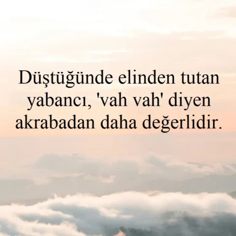 Düştüğünde elinden tutan yabancı, 'vah vah' diyen akrabadan daha değerlidir.