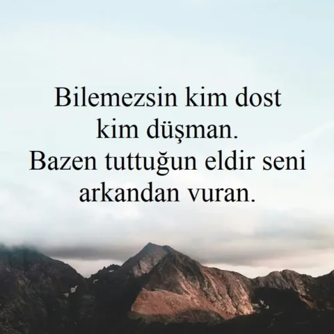 Bilemezsin kim dost kim düşman. Bazen tuttuğun eldir seni arkandan vuran.