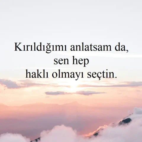 Kırıldığımı anlatsam da, sen hep haklı olmayı seçtin.