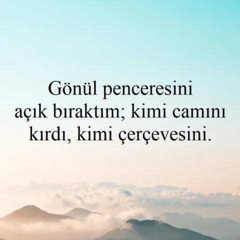 "Gönül penceresini açık bıraktım; kimi camını kırdı, kimi çerçevesini."