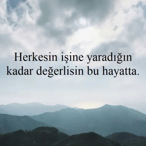 "Herkesin işine yaradığın kadar değerlisin bu hayatta."
