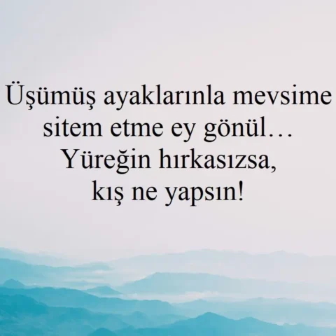 "Üşümüş ayaklarınla mevsime sitem etme ey gönül… Yüreğin hırkasızsa, kış ne yapsın!"