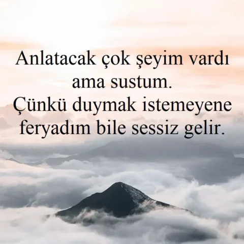 "Anlatacak çok şeyim vardı ama sustum. Çünkü duymak istemeyene feryadım bile sessiz gelir."
