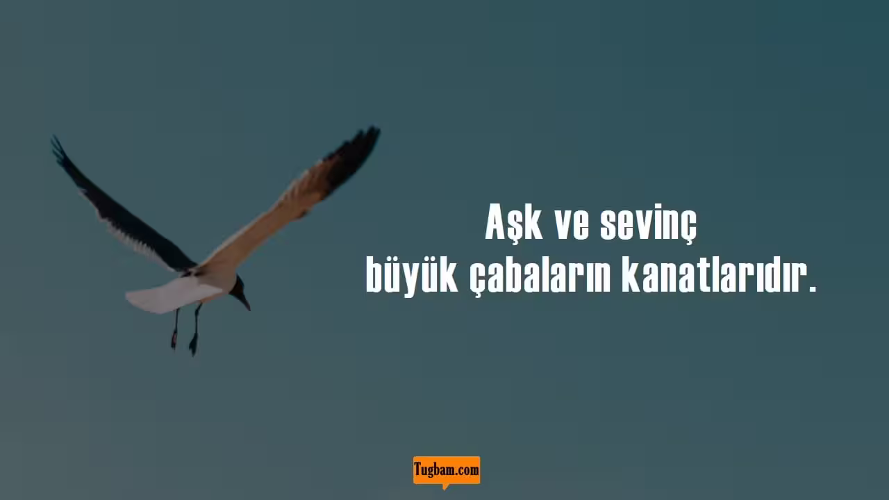Sevinç sözleri