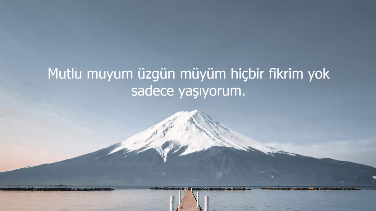 Üzgün Sözler