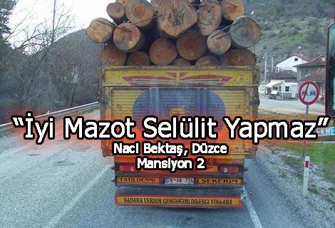 Kamyon Yazıları