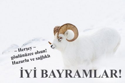 kurban bayramı mesajları 2017