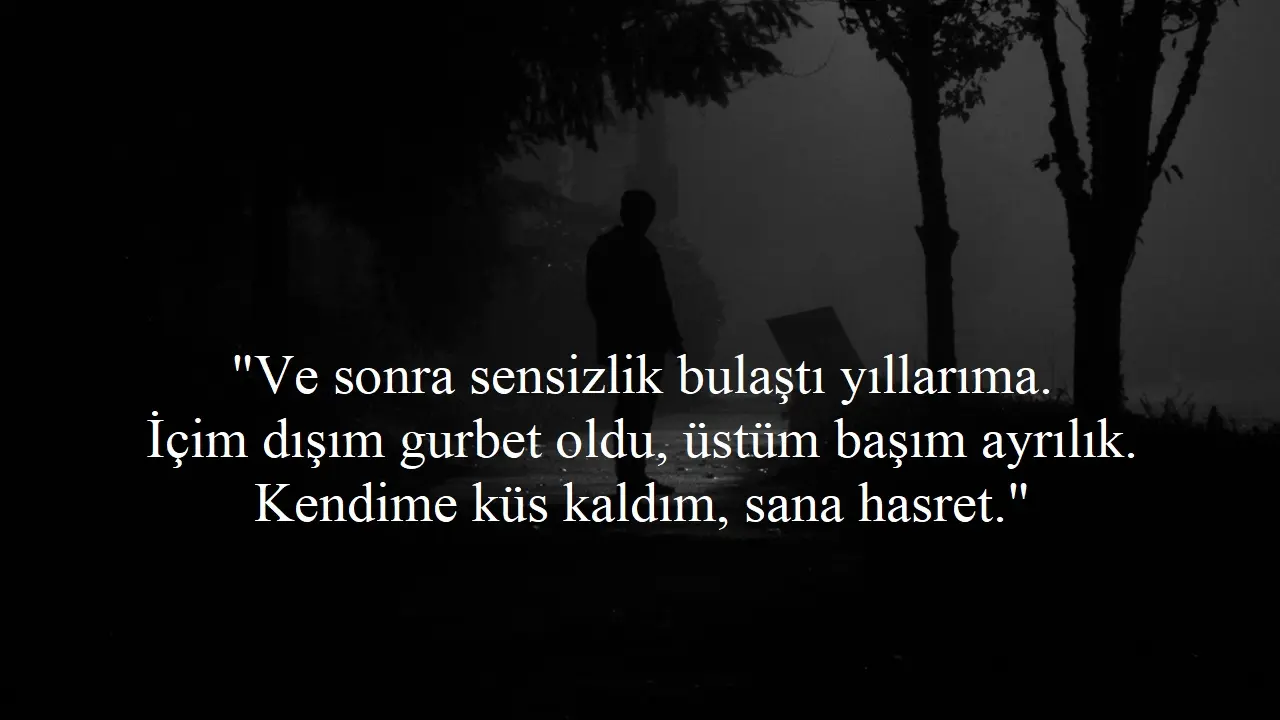 Sensizlik Sözleri