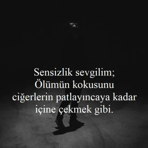"Sensizlik sevgilim; Ölümün kokusunu ciğerlerin patlayıncaya kadar içine çekmek gibi."