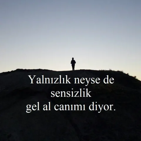 Yalnızlık neyse de sensizlik gel al canımı diyor.