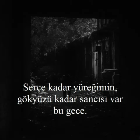 "Serçe kadar yüreğimin, gökyüzü kadar sancısı var bu gece."