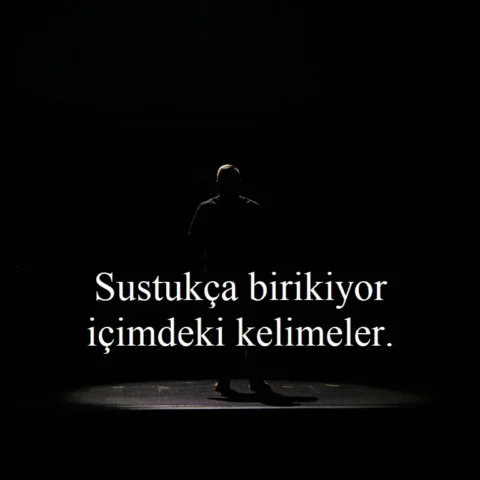 "Sustukça birikiyor içimdeki kelimeler."