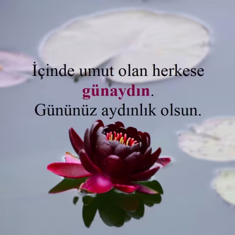 Günaydın mesajları