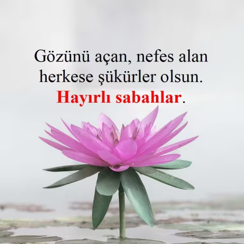 Günaydın mesajları