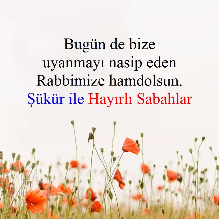 Günaydın mesajları