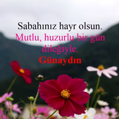 Günaydın mesajları