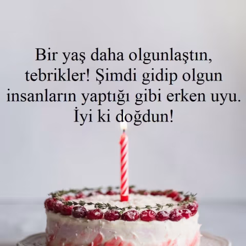 Bir yaş daha olgunlaştın, tebrikler! Şimdi gidip olgun insanların yaptığı gibi erken uyu. İyi ki doğdun!
