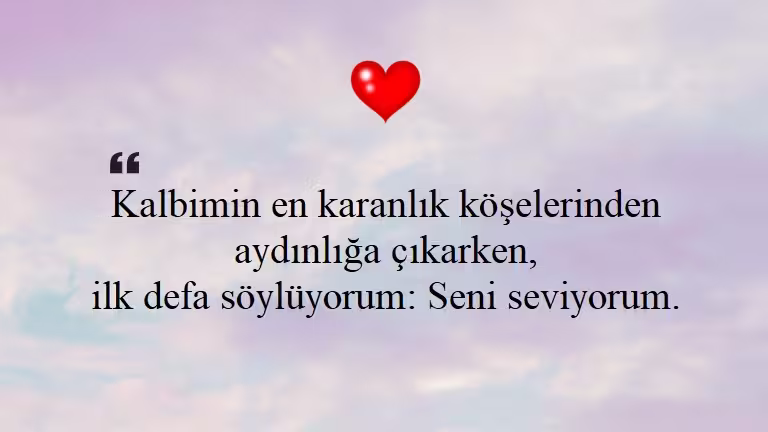 Seni Seviyorum Sözleri