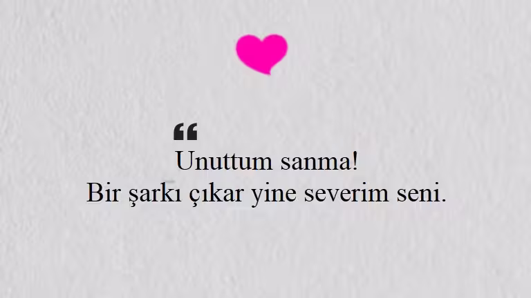 Seni Seviyorum Sözleri
