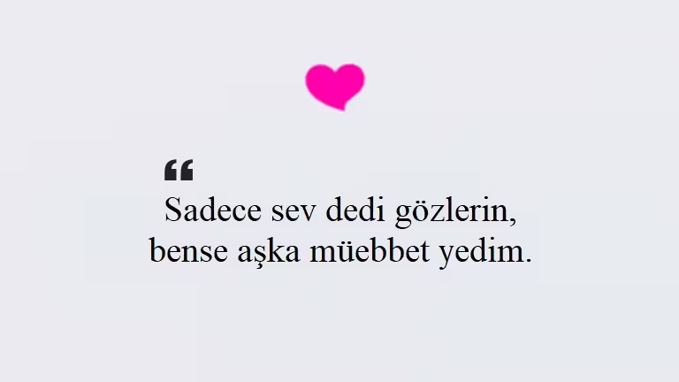 Seni Seviyorum Sözleri
