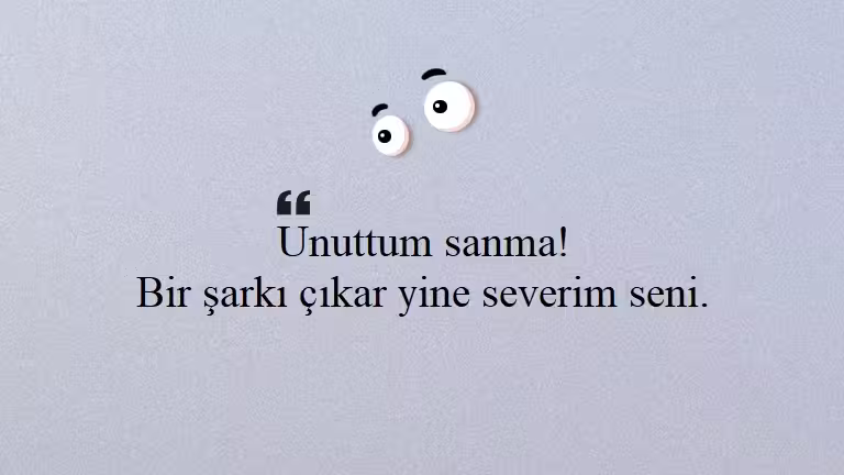 Seni Seviyorum Sözleri