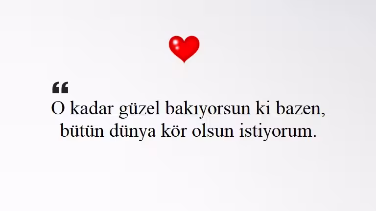 Seni Seviyorum Sözleri