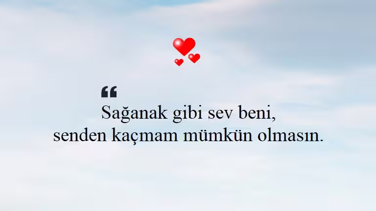 Seni Seviyorum Sözleri