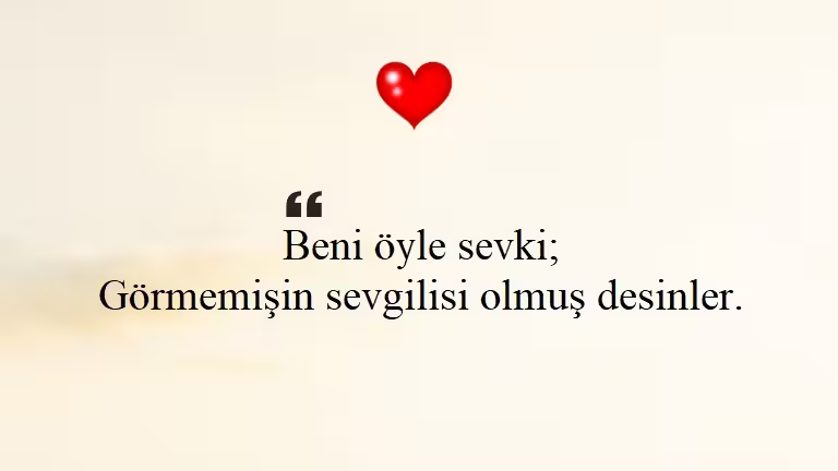Seni Seviyorum Sözleri