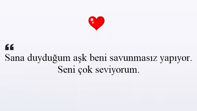 Seni Seviyorum Sözleri