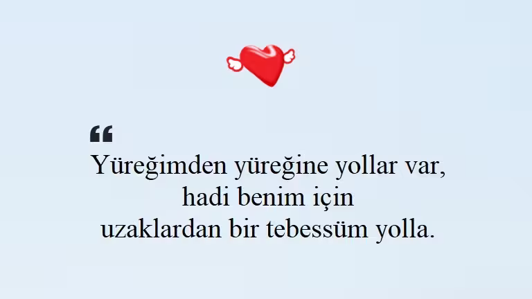 Seni Seviyorum Sözleri
