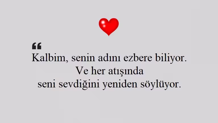 Seni Seviyorum Sözleri