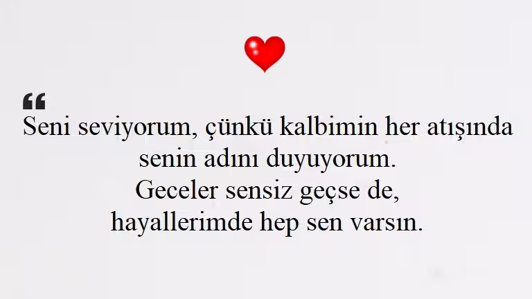 Seni Seviyorum Sözleri
