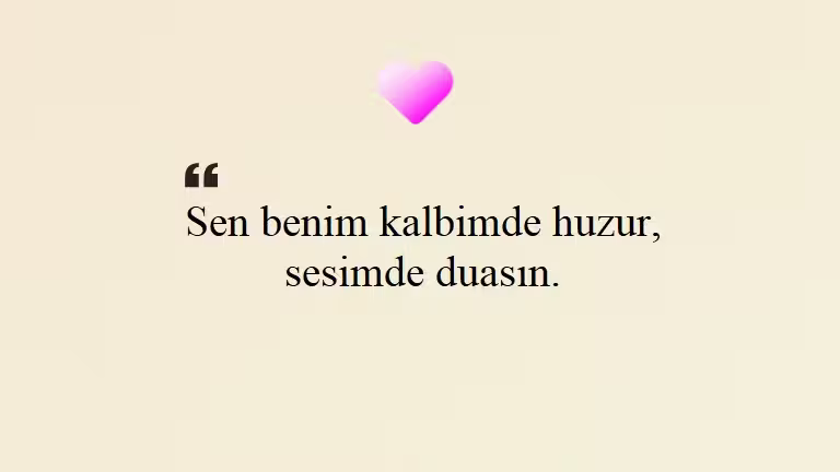 Seni Seviyorum Sözleri