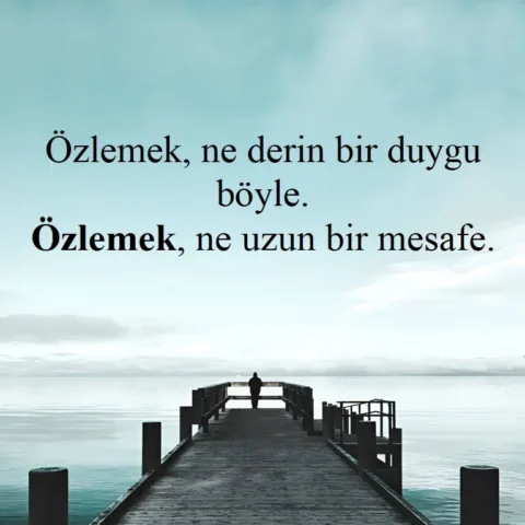 Özlem budur işte; bomboş bir varlık ve dopdolu bir yokluk.