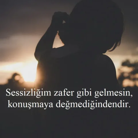 Duygusal Sözler Sessizliğim zafer gibi gelmesin, konuşmaya değmediğindendir.