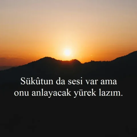 Duygusal Sözler "Sükûtun da sesi var ama onu anlayacak yürek lazım."