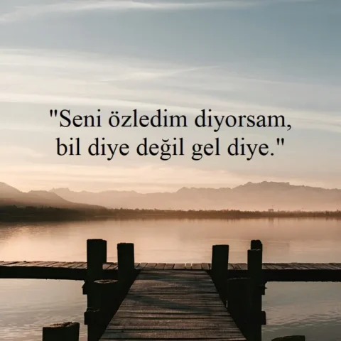 "Seni özledim diyorsam, bil diye değil gel diye."