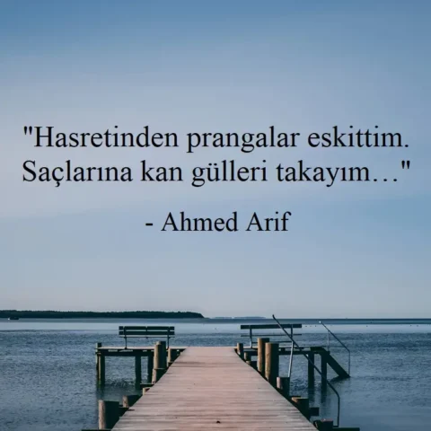 "Hasretinden prangalar eskittim. Saçlarına kan gülleri takayım…" - Ahmed Arif