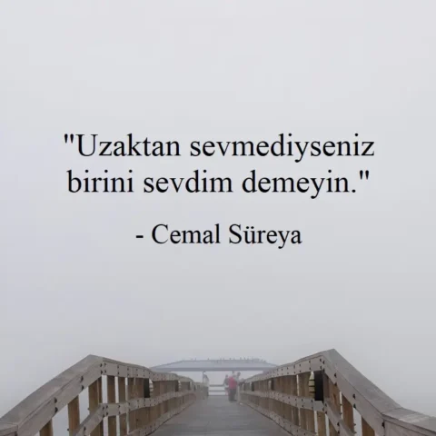 "Uzaktan sevmediyseniz birini sevdim demeyin." - Cemal Süreya