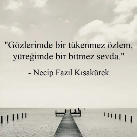 "Gözlerimde bir tükenmez özlem, yüreğimde bir bitmez sevda." - Necip Fazıl Kısakürek