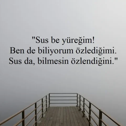 "Sus be yüreğim! Ben de biliyorum özlediğimi. Sus da, bilmesin özlendiğini."