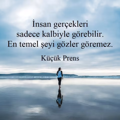 Küçük Prens: "İnsan gerçekleri sadece kalbiyle görebilir. En temel şeyi gözler göremez."