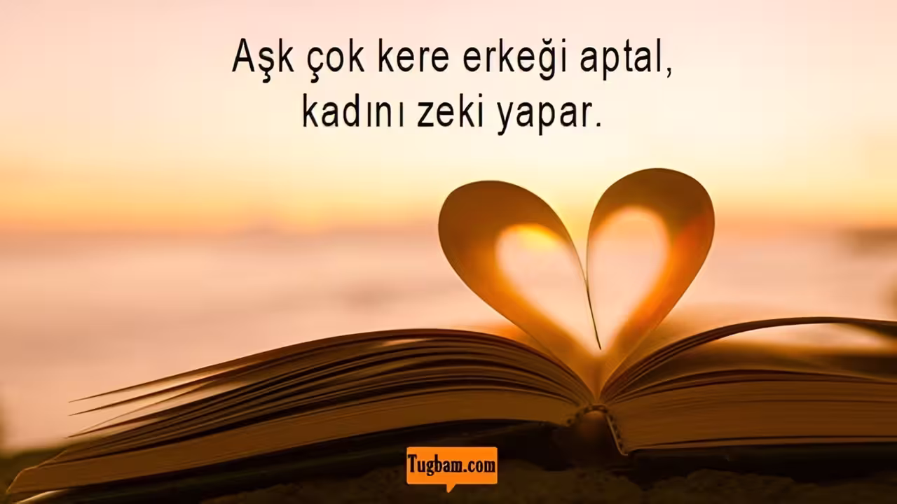 Dünyanın En Zekice Sözleri