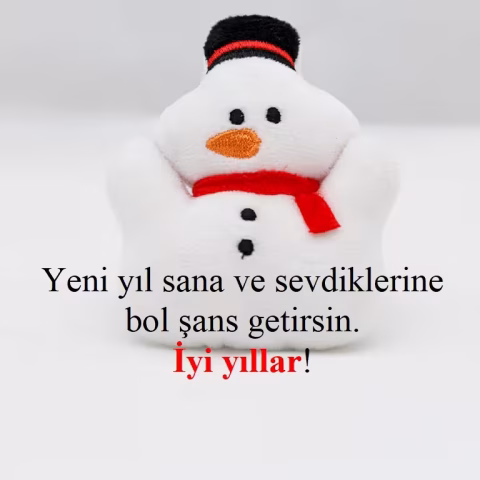 "Yeni yıl sana ve sevdiklerine bol şans getirsin. İyi yıllar!"