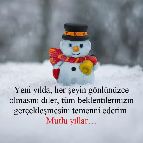 "Yeni yılda, her şeyin gönlünüzce olmasını diler, tüm beklentilerinizin gerçekleşmesini temenni ederim. Mutlu yıllar…"