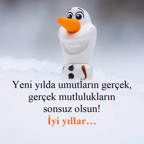 "Yeni yılda umutların gerçek, gerçek mutlulukların sonsuz olsun! İyi yıllar…"